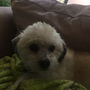 Meet your Posher, Rowell